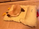 乐优派夏季猫窝四季通用狗窝空调窝宠物窝凉感猫咪垫子可拆洗冰豆豆窝-L 实拍图