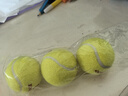 ENPEX乐士三只装网球 业余娱乐练习款 实拍图