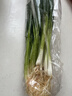 安心小香葱约150g 实拍图