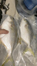 翔泰海南二去金鲳鱼700g/2条去鳃去内脏免处理生鲜鱼类 海鲜水产 实拍图