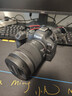 佳能（Canon）R62微单相机 vlog拍摄4K视频直播 r62人像风光旅游拍照专业级摄影器材r6二代全画幅微单24-105套机 实拍图