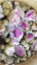 艺福堂花草茶 精品平阴原产胎玫瑰花茶120g 养生茶送母亲不熏硫搭菊花茶 实拍图