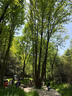 原始人（The Primitive） 露营推车可折叠户外手推野餐车营地拖车遛娃拉杆小拉车桌板野营 160L 升级款曜黑+可折叠桌板（赠收纳袋） 实拍图
