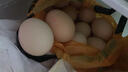 京鲜生【真散养】供港非笼养可生食鸡蛋30枚3.18斤 源头直发 实拍图