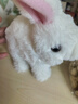 威尔通（WELTSTON）毛绒公仔跳舞布娃娃玩偶玩具儿童生日礼物礼品女生电动宠物小白兔 实拍图