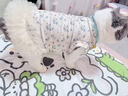 阿莫尔狗狗衣服公主风碎花蕾丝可牵引蓬蓬裙小型犬比熊可爱透气薄款夏季 粉色碎花-网纱蓬蓬裙【舒适透气带牵引扣】 XS(建议1-3斤具体参考胸围背长) 实拍图