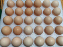 京鲜生 无抗保洁鲜鸡蛋30枚/盒 健康轻食 礼盒送礼 1.5kg/盒 源头直发 实拍图