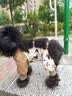 嬉皮狗狗狗防尘裤小型犬防脏防尿防水四脚衣服冬天腿套 S码 实拍图
