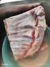 鲜京采内蒙古羔羊整排 净重3斤 生鲜速冻羊肉 羊排烧烤清炖食材 实拍图
