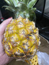 金钻凤梨手撕小凤梨新鲜热带生鲜水果非菠萝源头直发【多仓发货】 【2个】单果400-650g 实拍图