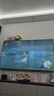 任天堂（Nintendo）【国内保税仓】Switch2/1代 OLED日版/港版游戏机续航加强版ns体感掌机便携家用主机 健身环大冒险普拉提圈（保税仓） 实拍图