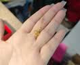 中国黄金（CHINA GOLD）黄金项链女999足金星星吊坠挂坠生日情人节礼物送女朋友老婆 【京速达】足金吊坠约0.7g*赠镀金色银链【甄选礼盒】 实拍图
