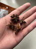 禾煜 大料 50g 八角大茴香辛料   厨房调味 火锅底料佐料炖肉料  实拍图