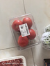 番茄约500g 实拍图