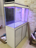 森森（SUNSUN）大型鱼缸底过滤水族箱客厅家用落地玻璃生态金鱼缸 超白隔断屏风款 1米长42cm宽（黑白灰可选） 实拍图