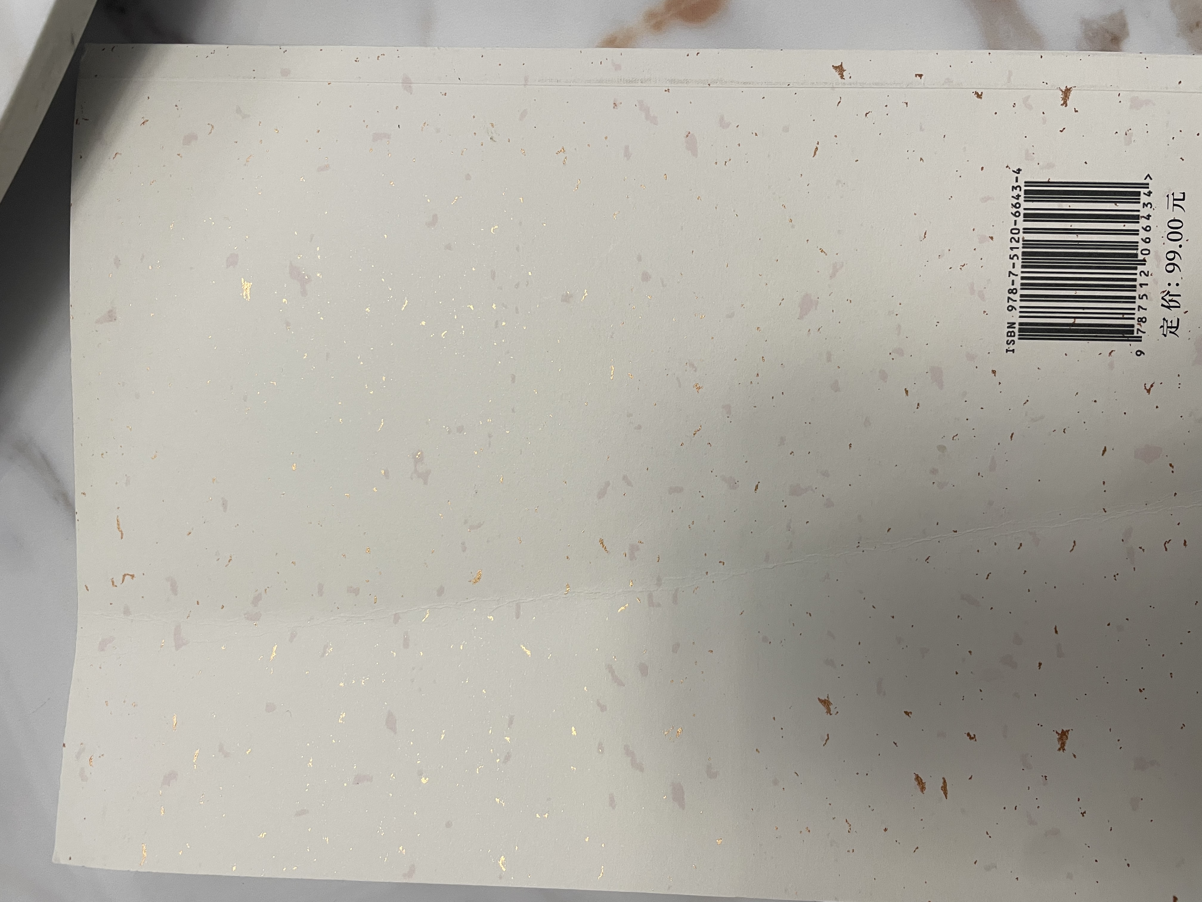晴画磨砂玻璃隐私贴膜卫生间窗户防窥贴纸透光不透人彩色小鸟90*200cm 实拍图
