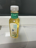 农夫山泉东方树叶茉莉花茶500ml*15瓶无糖茶饮料0糖0脂0卡整箱装 实拍图