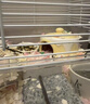 CARNO PET PRODUCTS卡诺仓鼠龙猫降温冰盒冰窝冰垫荷兰猪豚鼠兔子夏天散热板神器用品 实拍图