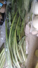 大菠菜300g 实拍图