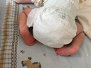 babycare金山茶花纸尿裤S58片(4-8kg)新生儿婴儿尿不湿超薄透气轻柔花苞裤 实拍图