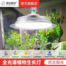 精忠报国植物补光灯大棚蔬菜花卉led室内绿植专用仿太阳全光谱园林生长灯 【仿太阳全光谱补光灯】白-150W 配3米灯头线 实拍图