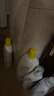 滴露（Dettol）衣物除菌液 柠檬1.5L 儿童可用衣物消毒液杀菌除螨可配洗衣液 实拍图