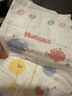 好奇（Huggies）金装纸尿裤M162片(6-11kg)尿不湿【速干不易红】 实拍图