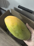 玖原农珍 源头直采青皮金煌芒果当季现摘优选甜心芒果 新鲜水果 含箱5斤净果4.5斤（200-400g） 实拍图