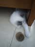 HELLOJOY猫玩具天然兔毛球猫薄荷丰容玩具小猫逗猫棒猫咪玩具自嗨解闷神器 实拍图
