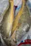 弹指鲜生 黄花鱼 新鲜活冻大黄鱼 冷冻海鲜 无冰净重3斤（2条/斤） 实拍图