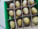 佳沛（zespri）新西兰 新果季 阳光金奇异果12粒特大果单果124-146g 猕猴桃 实拍图