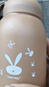 【京东物流送货上门】萌萌兔卡通水杯女牛奶玻璃杯创意便携杯子 咖色萌萌兔 330ml 1只 实拍图