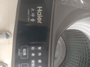 海尔（Haier）全自动波轮洗衣机8KG小型 家用宿舍出租房 智洗适老 一级能效 家电国家补贴 京东自营XQB80-Z10D0 实拍图