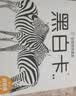 海润阳光 幼儿早教视觉激发大卡彩色卡（两版随机发） 0-6个月宝宝视觉激发 婴儿追视卡彩色卡视觉激发闪卡 宝宝视觉激发挂挂卡婴幼儿启蒙书籍认知卡  实拍图