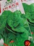 播种心情家庭种植蔬菜种子大全四季播种阳台盆栽农家庭院小菜园有机香菜菠 黑芝麻种子1包约20000粒 实拍图