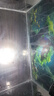 非凡力鱼缸玻璃胶粘鱼缸漏水专用胶水族水池漏水补缝胶补漏胶防水密封胶鱼缸胶一支装120g 实拍图