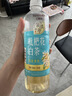 三得利【新品上市】清新柔和 枇杷花白茶 0糖0脂0能量 500ml*15 实拍图