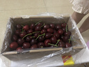 京鲜生 大连美早樱桃 车厘子 3J级巨无霸 2斤礼盒装 单果12g+ 生鲜水果 实拍图