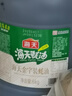 海天 蚝油6kg 金字装调味品 炖炒蘸拌鲜 烧烤火锅蘸料 餐饮装 大规格 实拍图