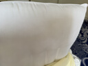富安娜决明子草本枕芯 成人枕头健康舒睡枕芯一对装 高枕 74*48cm 白色 实拍图