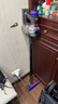 戴森（DYSON）V8无绳吸尘器【升级款】手持无线吸尘器 除螨 宠物 家庭适用 实拍图