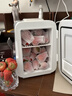 美的（Midea）小冰箱车载冰箱小型冷藏加热两用1-2人宿舍出租房美妆冰箱4L熊 实拍图