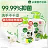 滴露（Dettol）洗手液抑菌滋润茉莉绿茶500g 儿童洗手液消毒 滋润护手米奇米妮版 实拍图