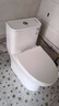 九牧（JOMOO）11173-2-1/31KD-3大力神家用马桶虹吸抗菌节水洁具305坑距 实拍图
