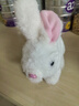 威尔通（WELTSTON）毛绒公仔跳舞布娃娃玩偶玩具儿童生日礼物礼品女生电动宠物小白兔 实拍图