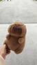 卡皮巴拉毛绒玩具公仔儿童生日礼物女孩情人节礼物水豚毛绒玩偶 卡皮巴拉公仔 1个装（新人专享） 实拍图