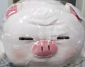 名创优品（MINISO）小猪B-BO翅膀款趴毛绒公仔玩具玩偶抱枕娃娃靠枕生日礼物女 实拍图
