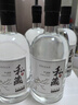 拜杰酒瓶空瓶白酒瓶泡酒容器存储瓶玻璃酒坛酒壶高档泡酒专用瓶2只装 实拍图