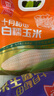 十月稻田 白糯玉米 8根 4.16斤 东北甜粘玉米 非转基因 低脂早餐 实拍图