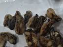 赶海弟【潍坊产地】生蚝干400g不抽油海蛎牡蛎子 火锅食材 源头直发包邮 实拍图